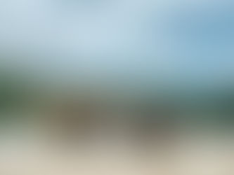 4 Days 3 Nights Ha Giang Loop Tour with Bong Hostel