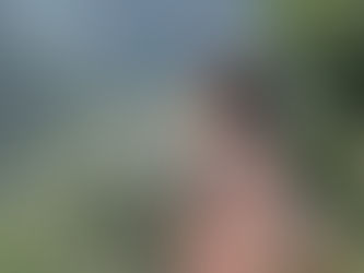 Woman in a pink jacket and striped top joyfully stretches arms out in a mountainous valley. Sunlight and greenery create a vibrant scene.