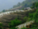 Flooded rice terraces in Sapa