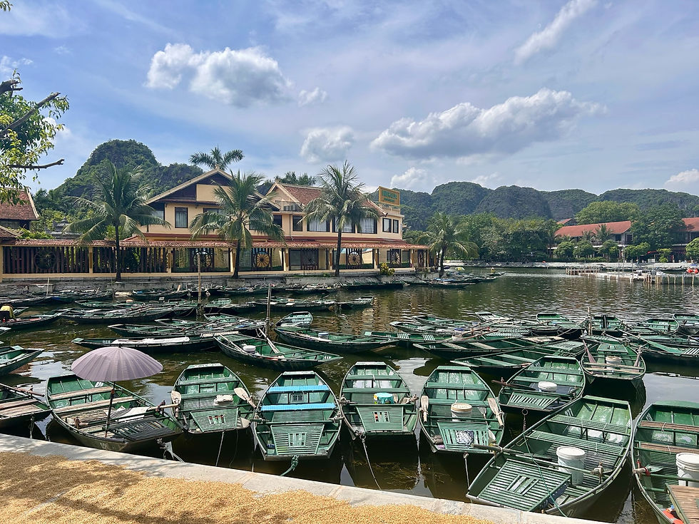 Green boats docked at a calm river, surrounded by palm trees and mountains. A yellow building in the background under a partly cloudy sky.