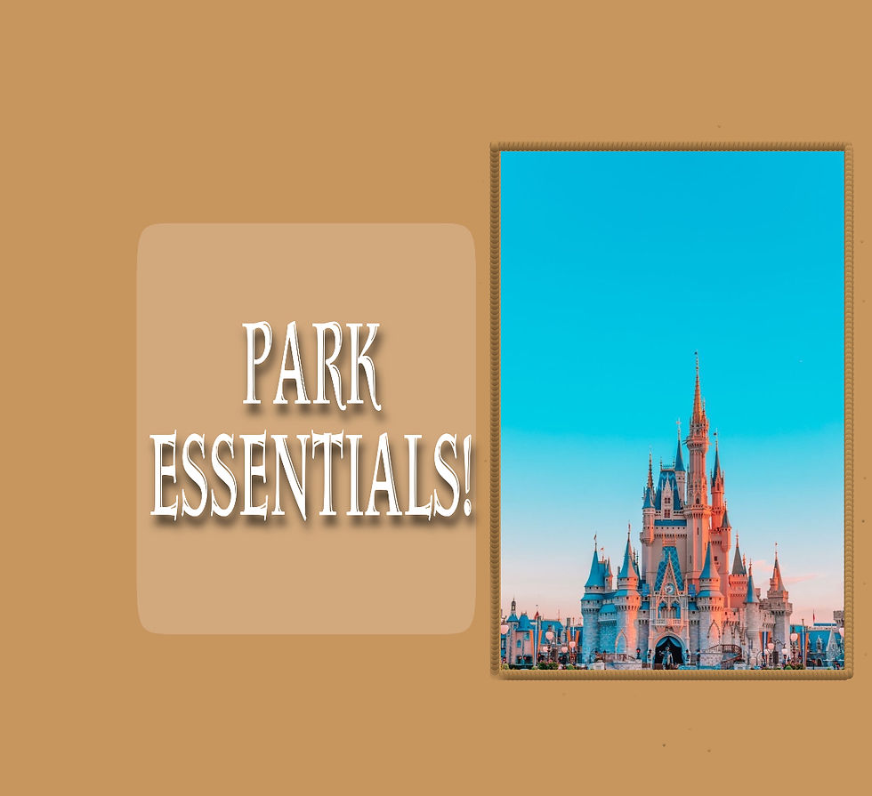 Park Essentials!