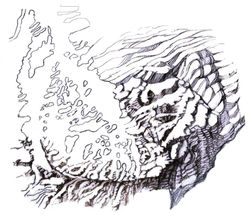 Liverpool Plains Region (from above)