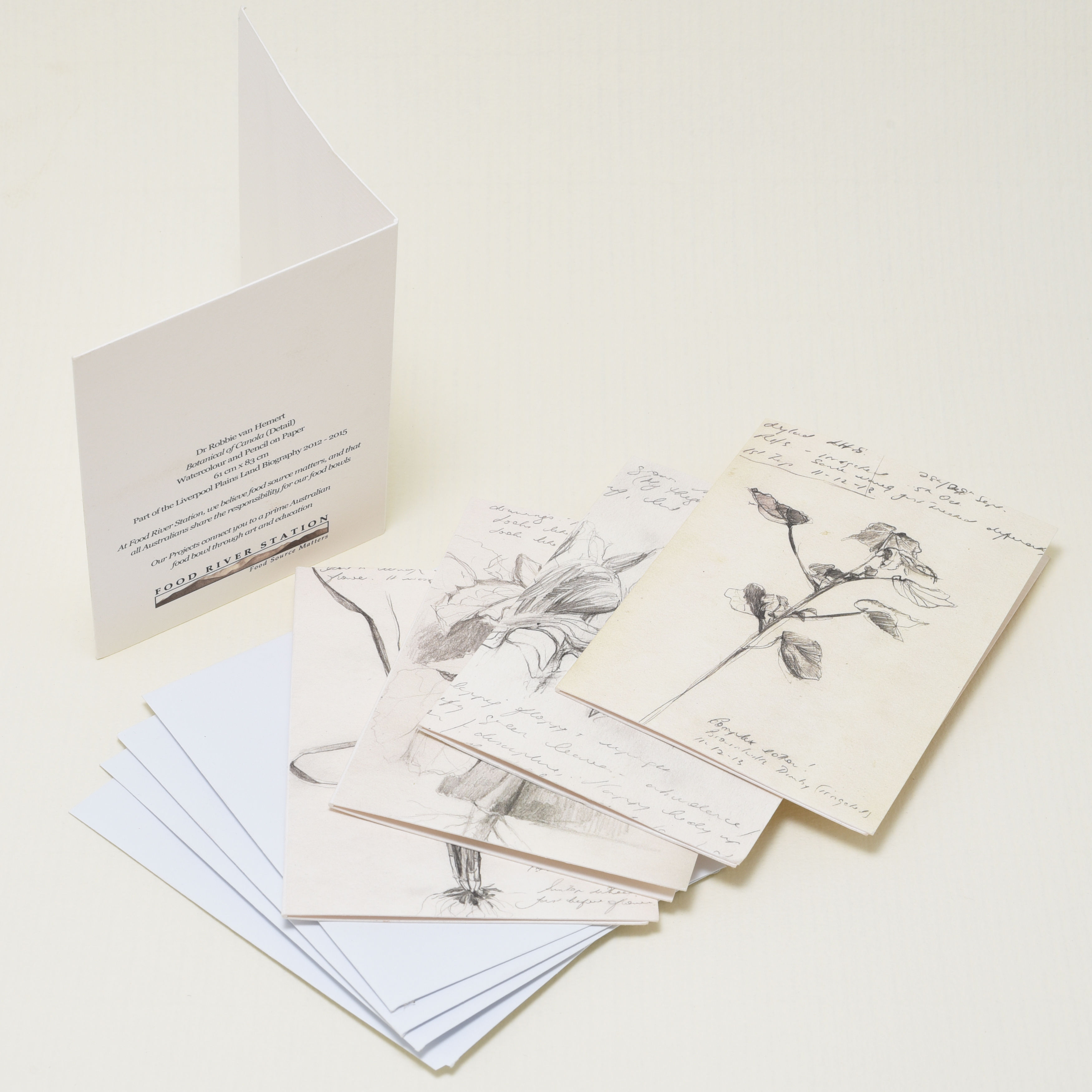 Botanic Gift Cards x 4 (Field Journal Studies)