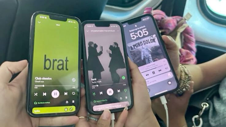 Photo Credits: Pinterest (https://pin.it/6z6LMssJy)