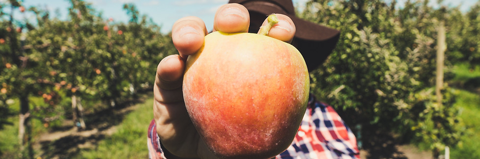 Farmer Holding Fruit