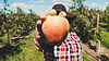 Farmer Holding Fruit