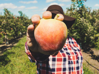 Turn Your Lazy Faith into Fruitful Faith.