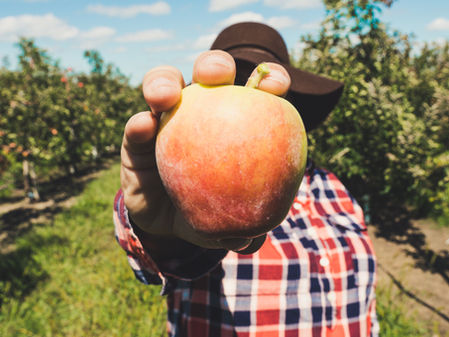 Starting a Successful New Farm