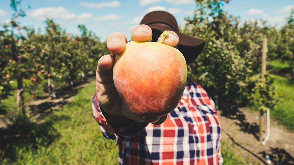 Farmer Holding Fruit