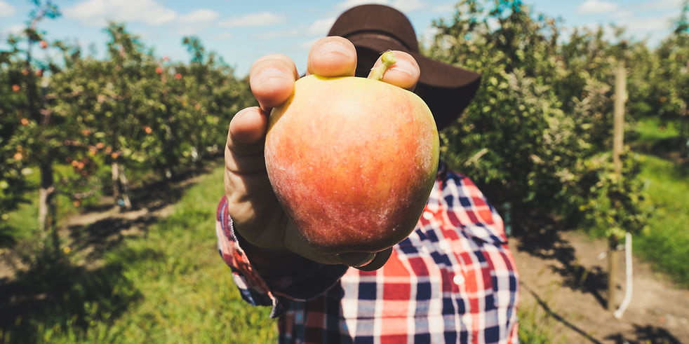 Farmer Holding Fruit