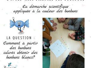 La démarche scientifique en maternelle et CP, par les bourdons.