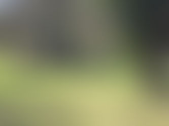 Le retour des beaux jours