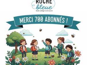 🎉🐝 700 MERCIS ! 🌿💛