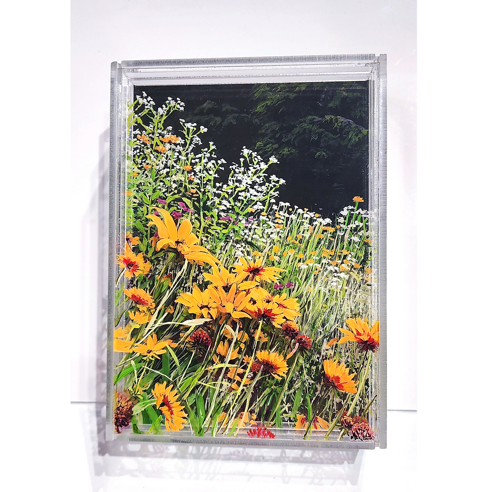 Thumbnail: Golden Meadow