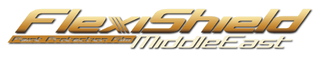 flexishieldme_logotype-gold_bg-Aq2vPaRPDbTOevB8.png