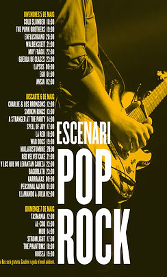 Alacant Desperta 2017