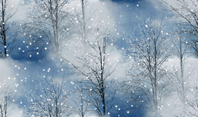 bosco_latifoglie_e_nevicata.gif