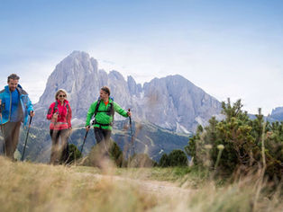 Prossimo Cammino di Primavera