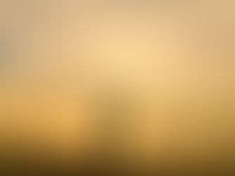 The 5 Pillars of Lasting Health (and how to apply them without overwhelm)