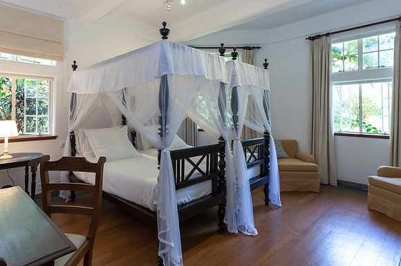 Blue Bird Twin Room_.jpg