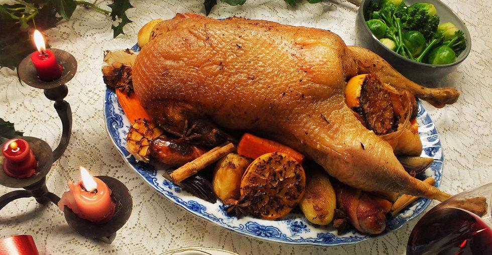 Christmas Goose