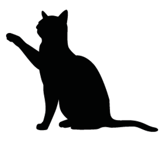 Witches Cat