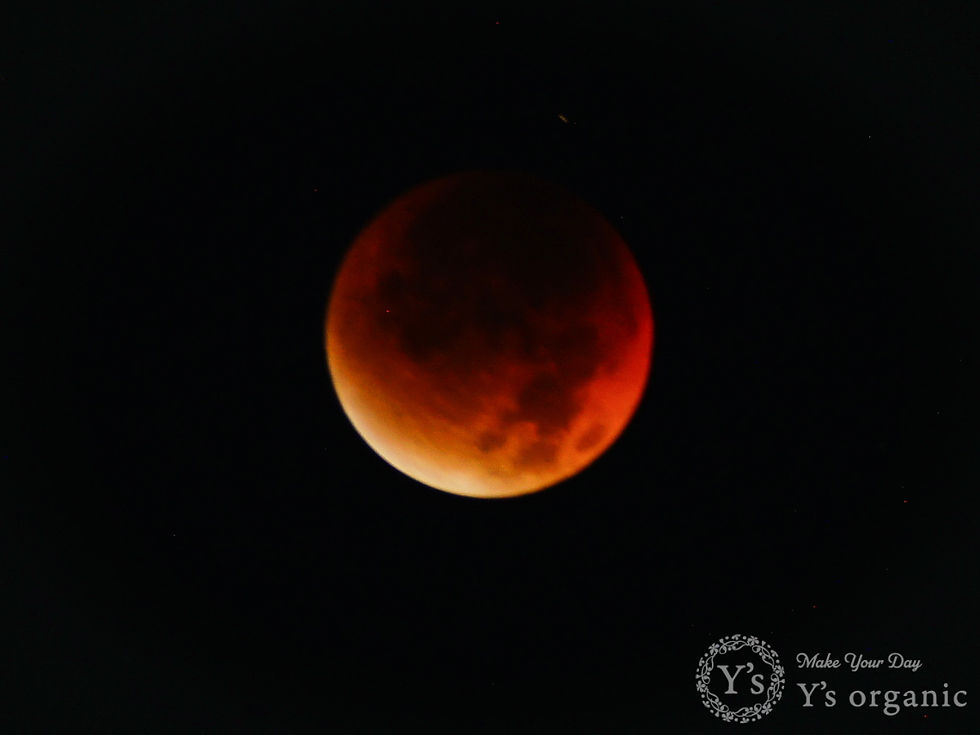 2025年9月8日皆既月食（皆既食）