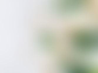 The Naturopathic Principles