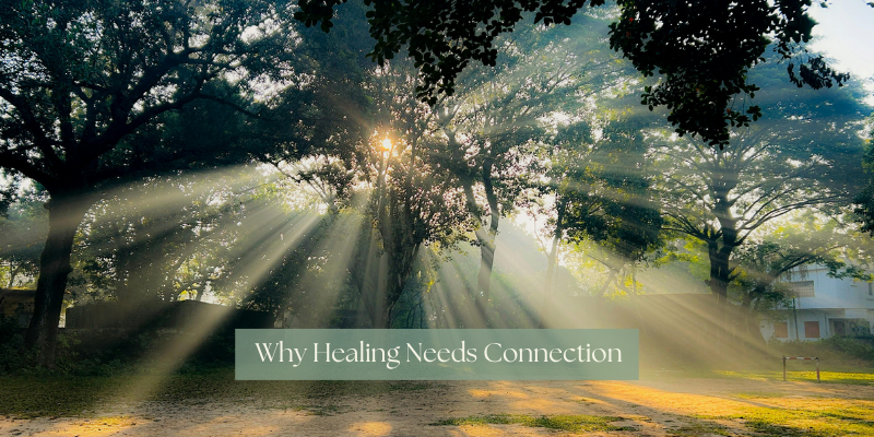 Sunlight streams through lush trees in a tranquil park. The text reads "Why Healing Needs Connection," creating a serene, thoughtful mood.