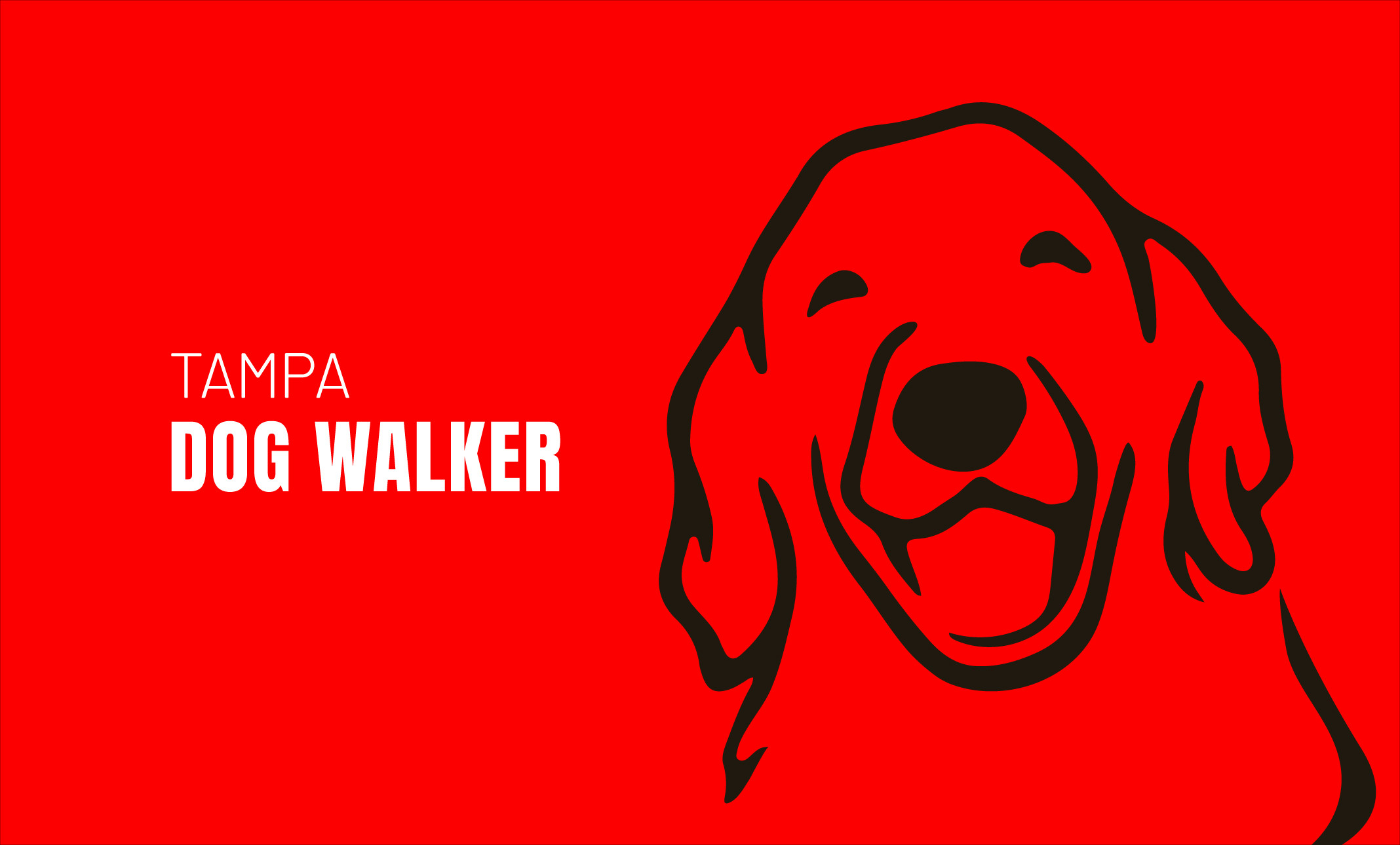 Beautiful Dog Walker Tampa Fl Background for Your Screen