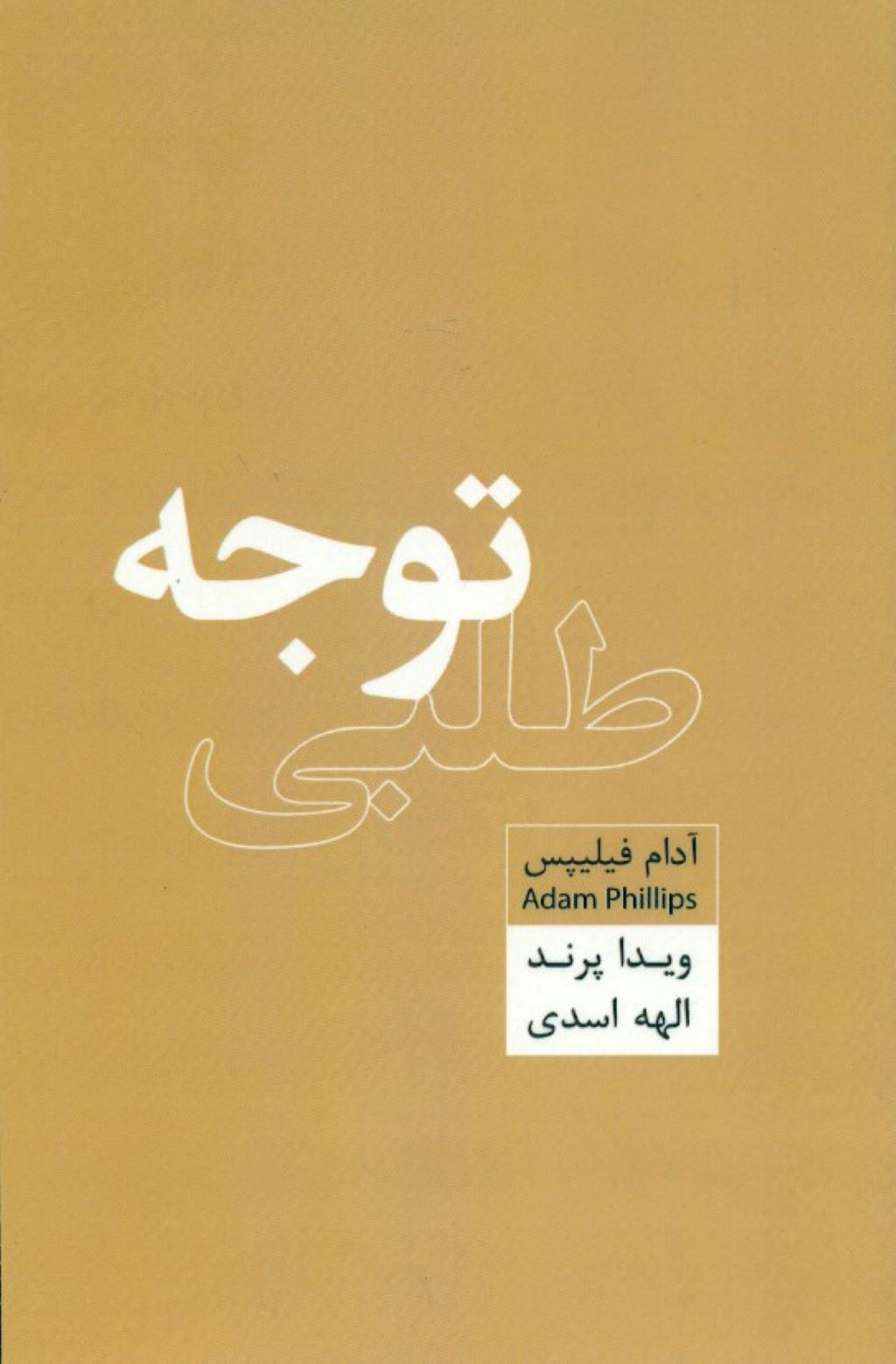 توجه طلبی