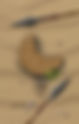 برادر-من-تویی