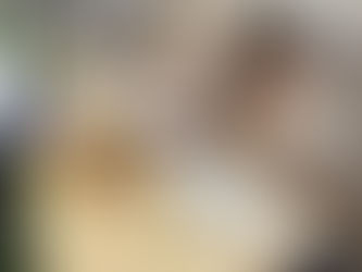 Year 1- Spring 2- Week 4