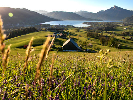Frühling am Mondsee und Irrsee – Saisonstart mit neuen Impulsen für Tourismus und Gastronomie