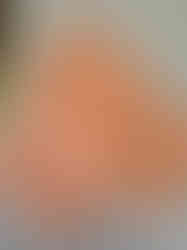 12894AAD-E98E-4F9E-BEE4-59A3AAA25E76_1_105_c.jpeg