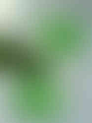 16A8BAEF-BD57-45DD-9075-DBC13173EBA9_1_105_c.jpeg