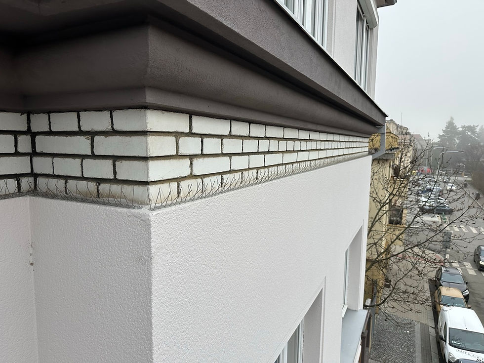 Instalace hrotů proti ptactvu