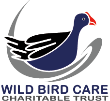 Wild Bird Care