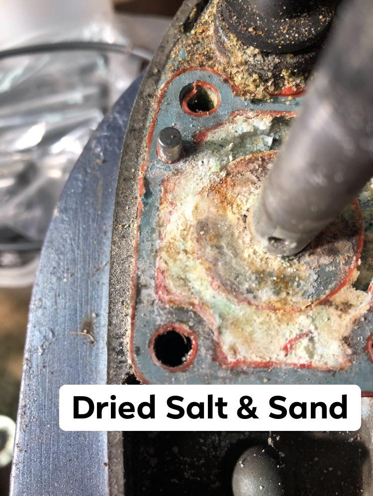 How often do you flush your outboard after use