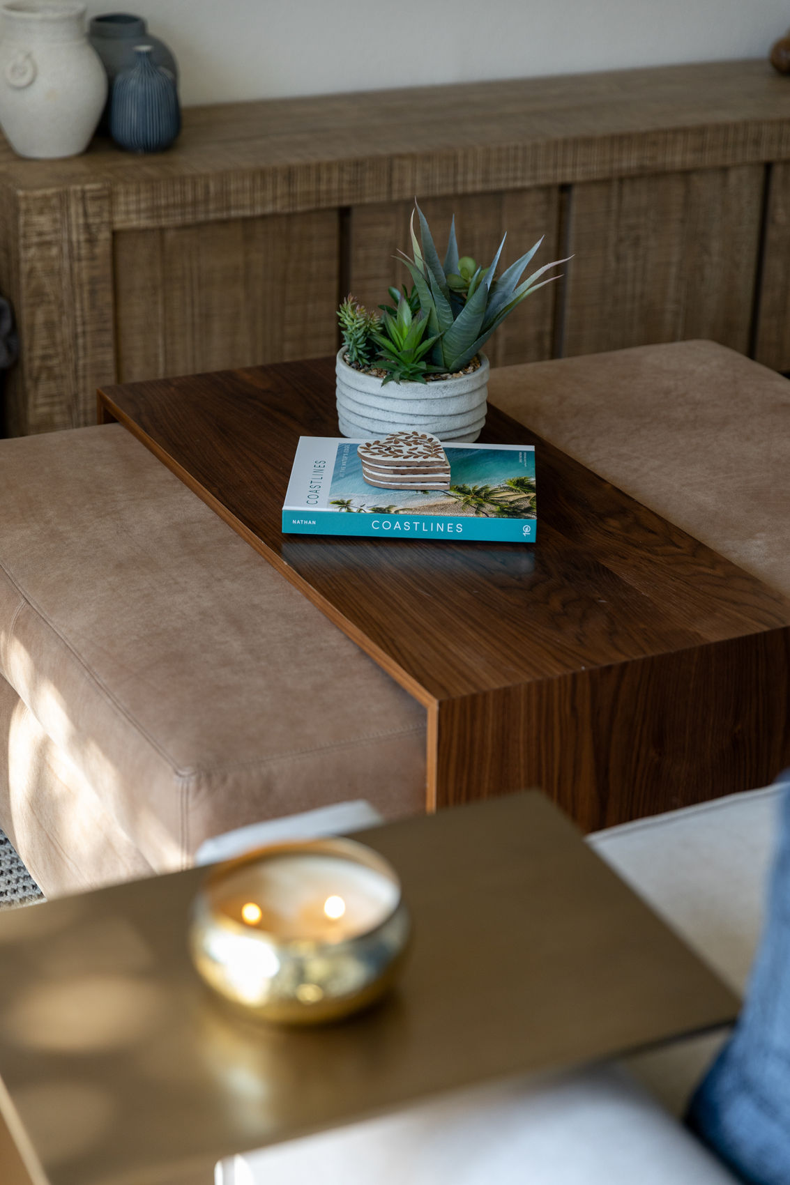 Modern living room decor with a succulent and books.