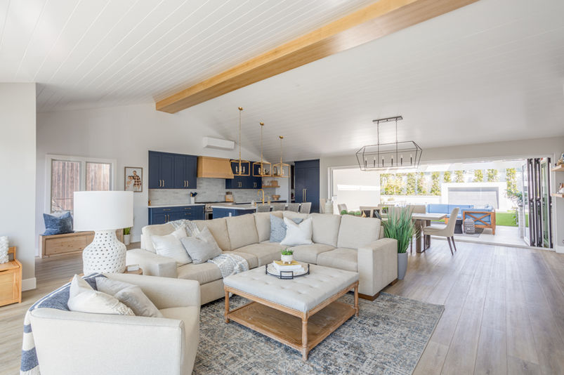 Modern open-plan living room and kitchen design