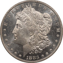 1883MORGAN.jpg