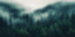 AdobeStock_610920514.jpeg