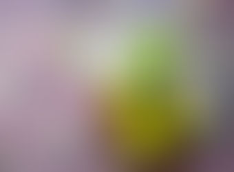 Herb of the Week: Rosemary!