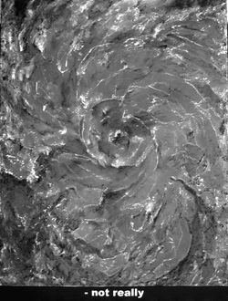 Patrice Palacio - Série 203