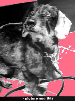 Patrice Palacio - Série 203