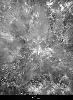 Patrice Palacio - Série 203