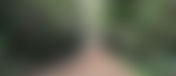 大会まであと3日