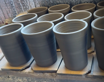 Rows of unfired mugs ready for turning and having their handles added