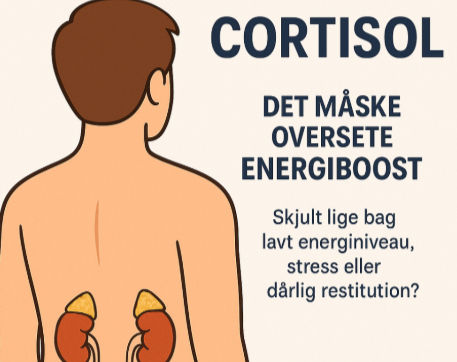 Cortisol - din krops energihormon og nøgle til stressbalance